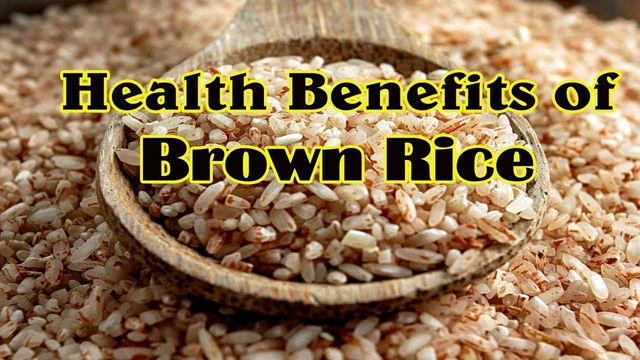 Rice Bran: The Hidden Gem of Dietary Supplements You Need to Try