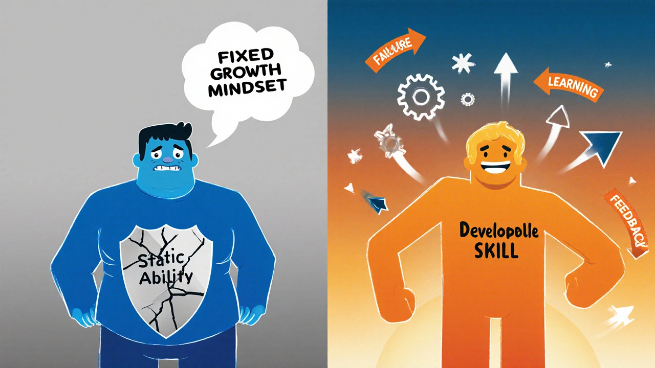 Side‑by‑side cartoon of a fixed‑mindset figure versus a growth‑mindset figure with contrasting colors.